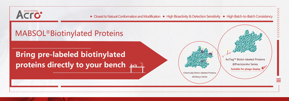 Biotinylated Protein