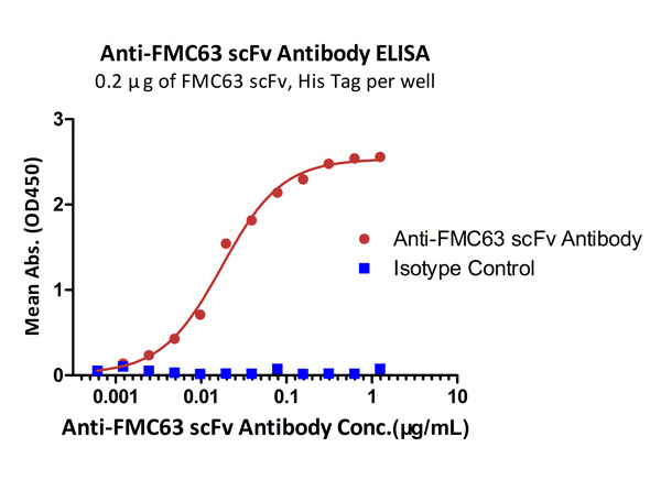 CAR-specific Monoclonal Antibody to Detect Anti-CD19 CAR Expression