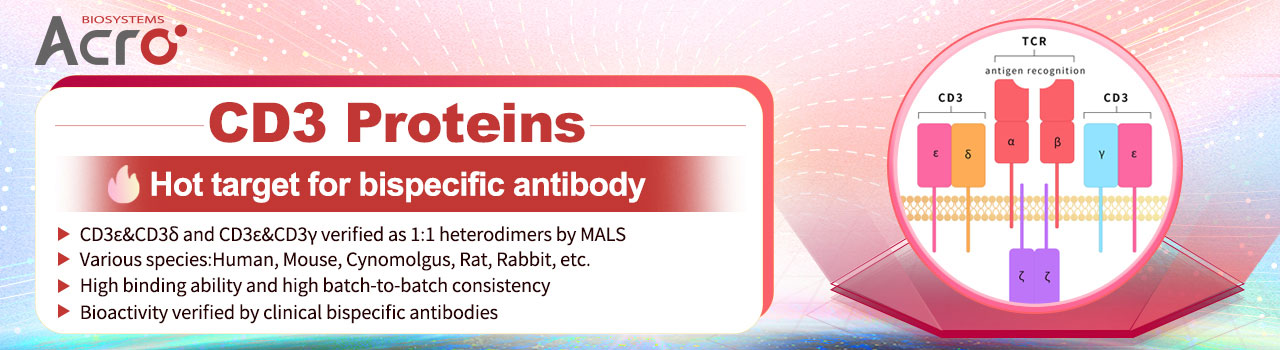 CD3 Proteins-Hot target for bispecific antibody