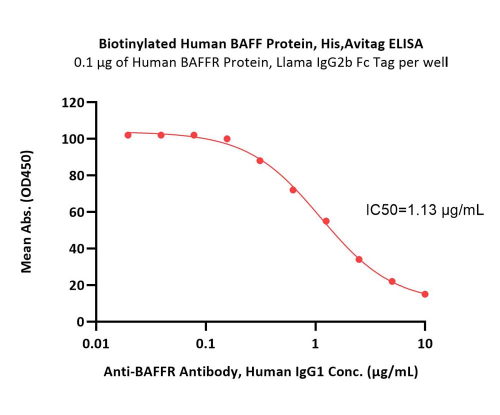  BAFF ELISA