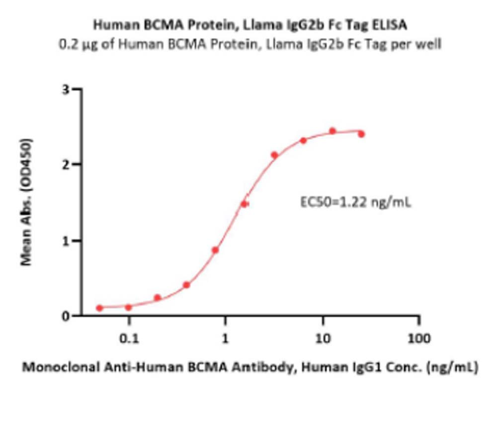  BCMA ELISA