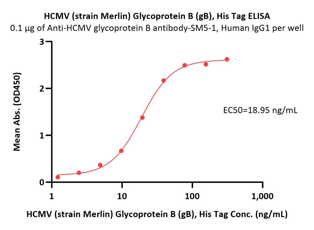  Glycoprotein B / gB ELISA