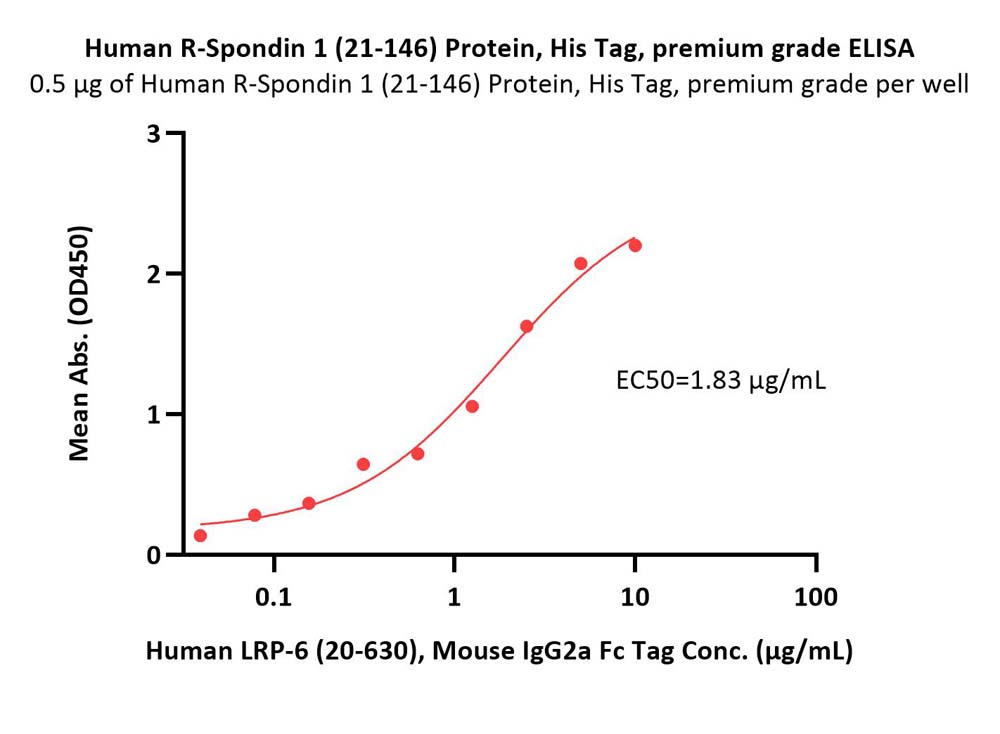  R-Spondin 1 ELISA