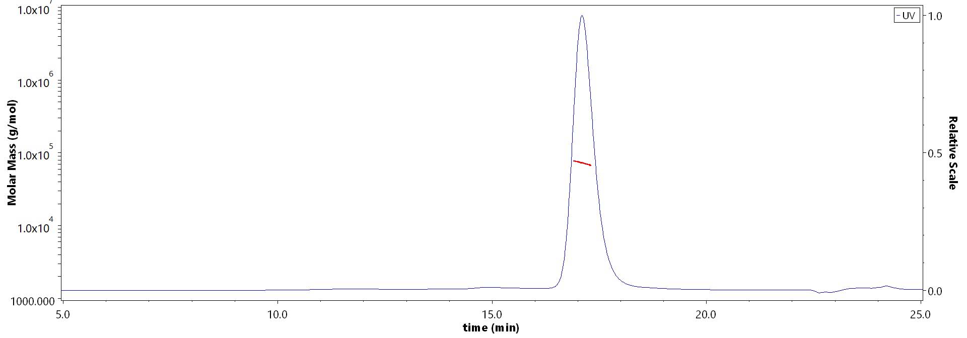 Serum Albumin MALS images