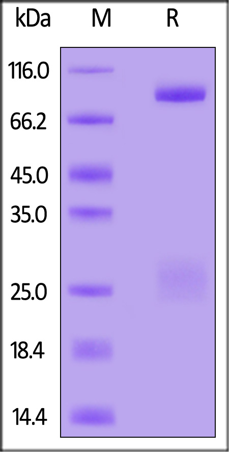 GHL-E5283-sds