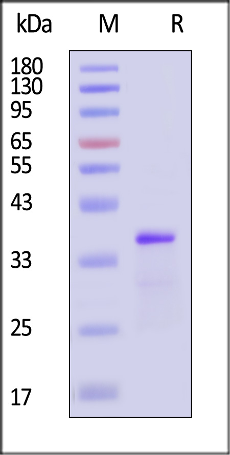 GLG-V5143-sds