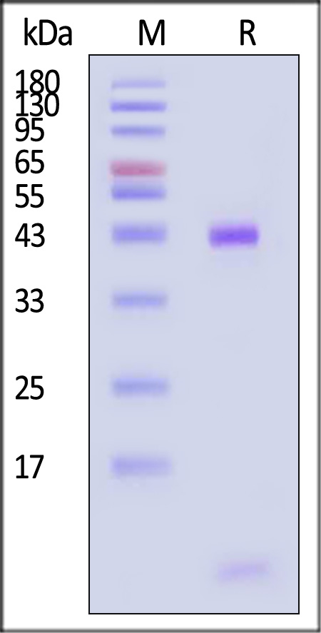 HLL-H82E3-sds