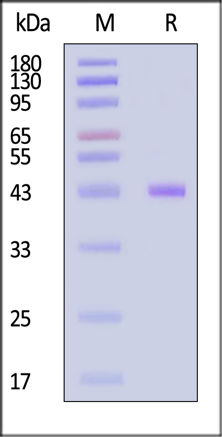 HLT-H82E5-sds