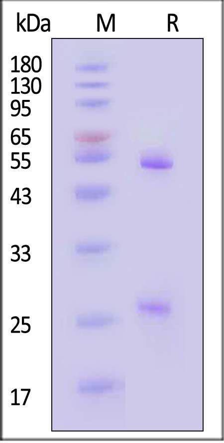 PRN-Y316-sds