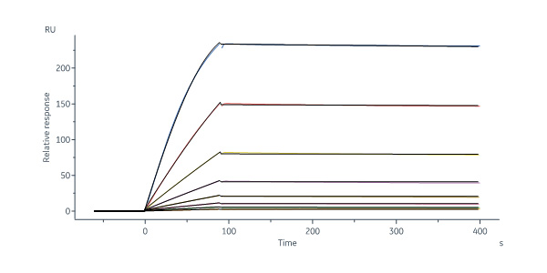  Hemagglutinin/HA (Influenza Virus) SPR