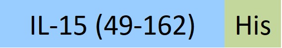 IL5-H52H8-structure