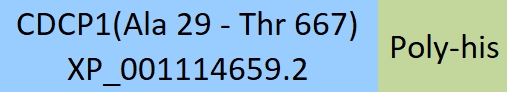 CDCP1 Structure