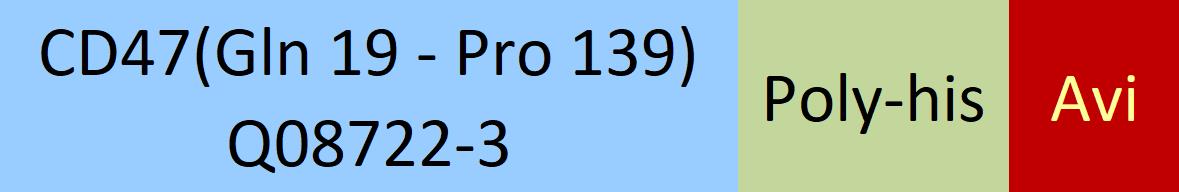 Online(Gln 19 - Pro 139) Q08722-3