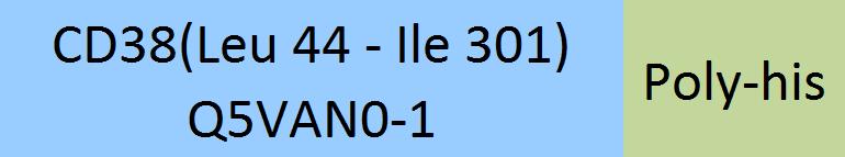 CD38 Structure