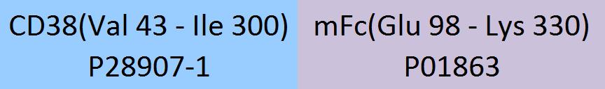 CD38 Structure