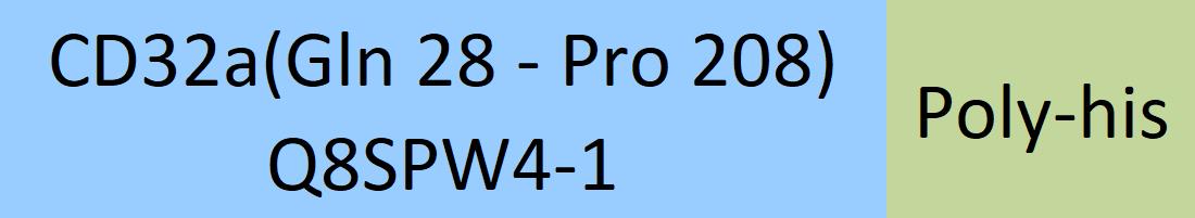 Online(Gln 28 - Pro 208) Q8SPW4-1