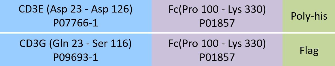 CD3E & CD3G Structure