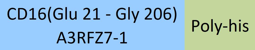 Online(Glu 21 - Gly 206) A3RFZ7-1