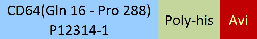 Online(Gln 16 - Pro 288) P12314-1