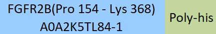 Online(Pro 154 - Lys 368) A0A2K5TL84-1