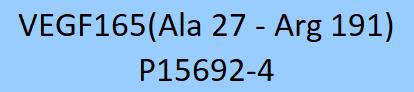 VEGF165 Structure