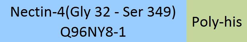 Nectin-4 Structure