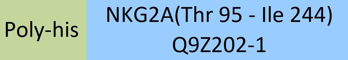 Online(Thr 95 - Ile 244) Q9Z202-1