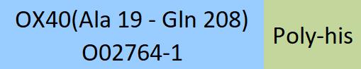 Online(Ala 19 - Gln 208) O02764-1