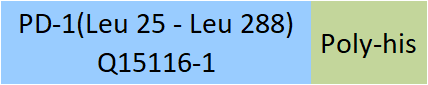 Online(Leu 25 - Leu 288) Q15116-1