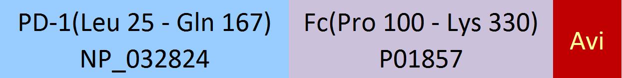 PD-1 Structure