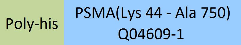 Online(Lys 44 - Ala 750) Q04609-1