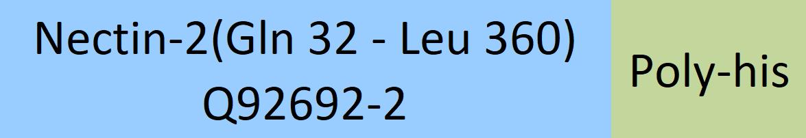 Online(Gln 32 - Leu 360) Q92692-2