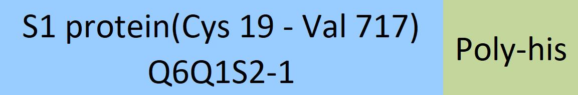 Online(Cys 19 - Val 717) Q6Q1S2-1