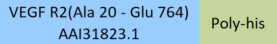 VEGF R2 Structure