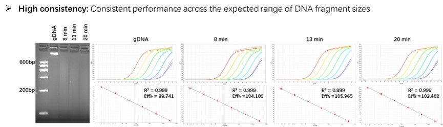  DNA TYPICAL DATA