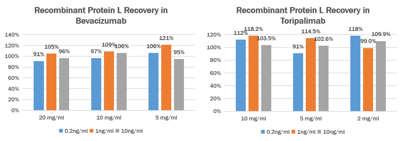  protein L RECOVERY