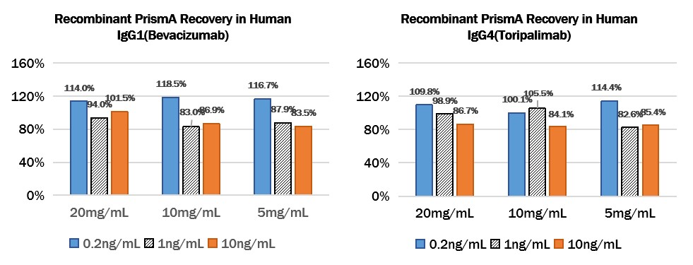  protein A (SuRe) RECOVERY